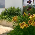 公寓式酒店 Path House - Etna & Sea View 里波斯托