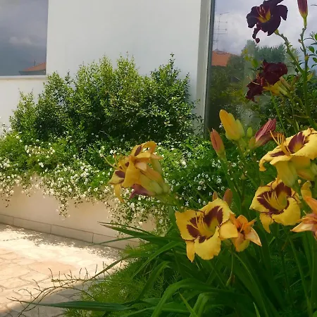 شقة فندقية Path House - Etna & Sea View ريبوسْتو