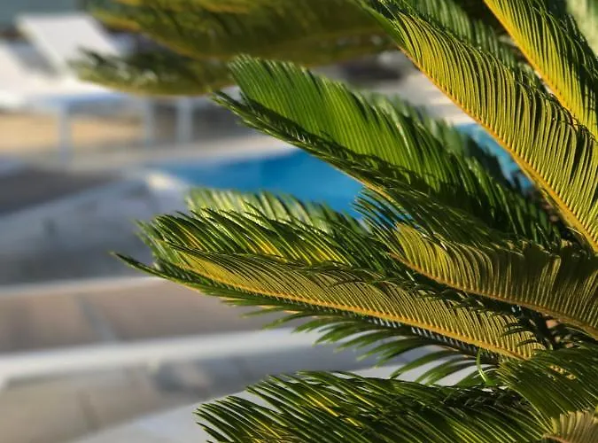 Path House - Etna & Sea View מלון דירות 4*