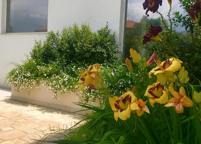 מלון דירות Path House - Etna & Sea View ריפוסטו